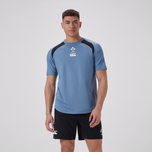 MENS IRELAND VAPODRI ELITE TRAINING TEE BLUE